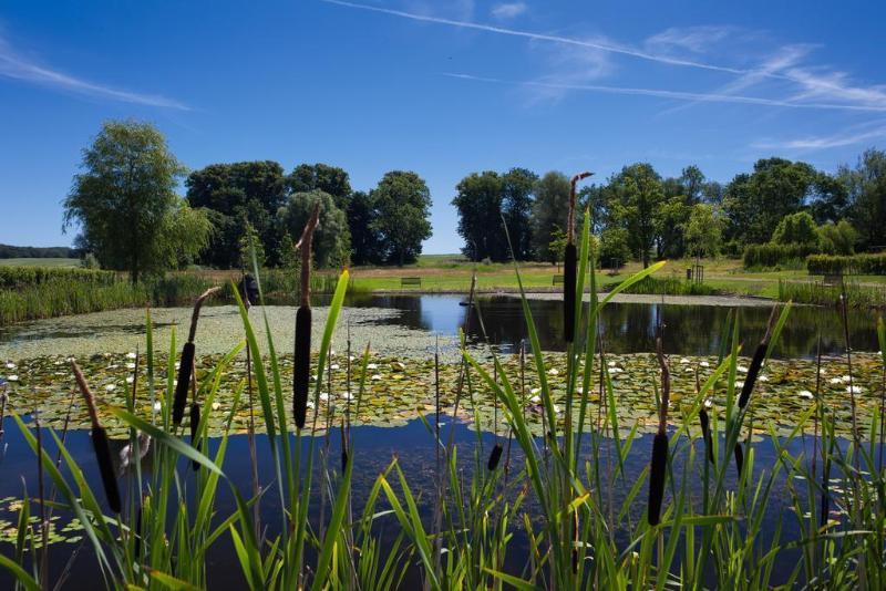 Schlossgut Gross Schwansee Exterior photo The lake at the centre of the reserve
